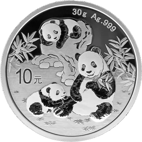 Stříbrná mince Panda 2026, 30&nbsp;g