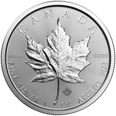Stříbrná mince Maple Leaf 2026, 1&nbsp;oz